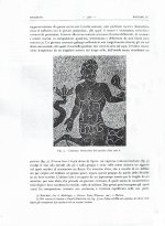 notiziap8